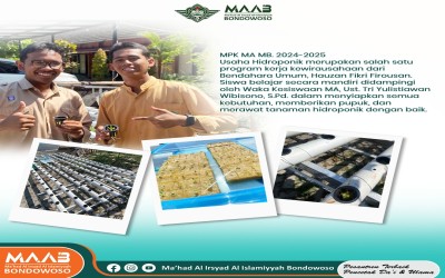 Organisasi Majelis Permusyawaratan Kelas (MPK) Madrasah Aliyah, Kembangkan Kewirausahaan Santri dengan Pertanian Hidroponik